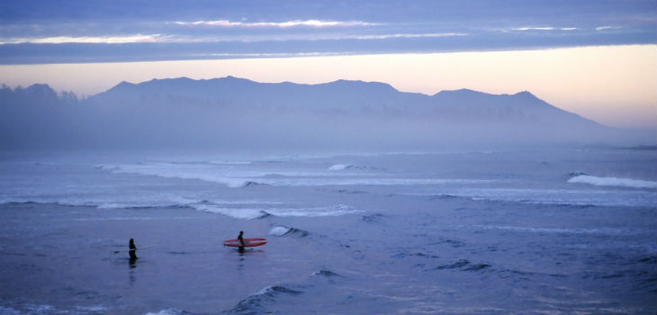 tofino 