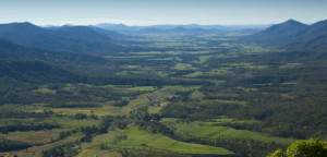 mackay