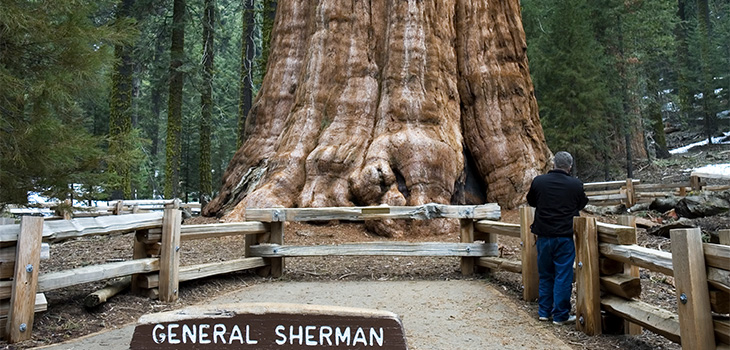ca_general_sherman_730x350